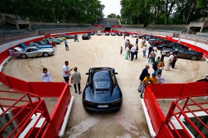 Image article :Immersion Camarguaise